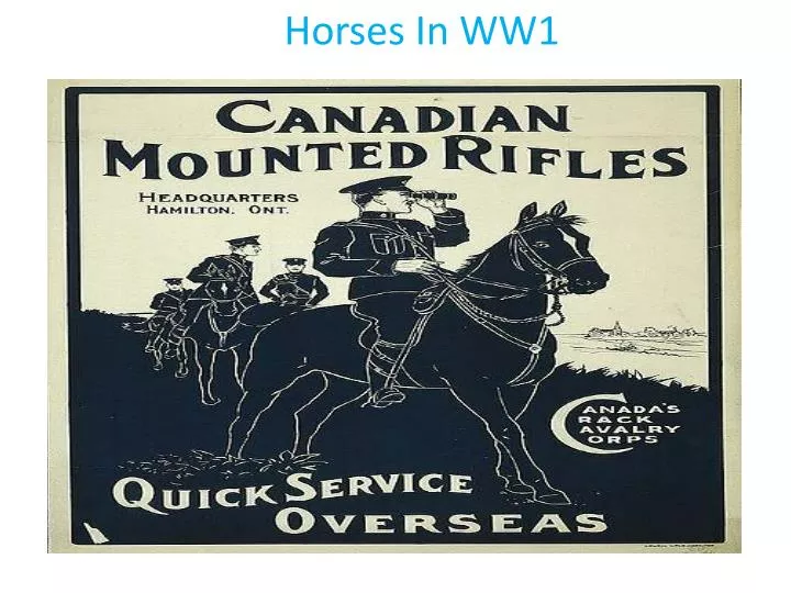 horses in ww1