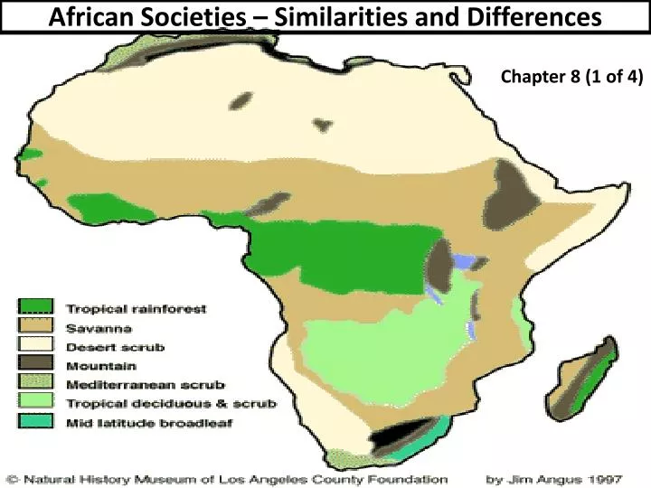 african societies similarities and differences
