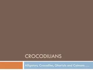 Crocodilians