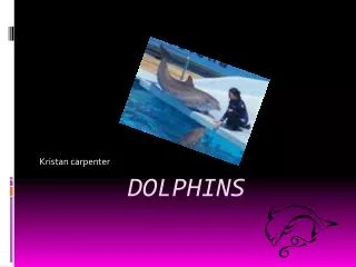 Dolphins