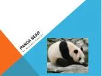 Panda Bear - slide 1