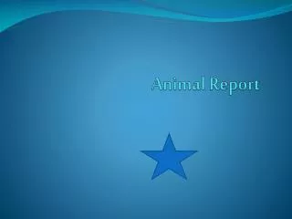 Animal Report