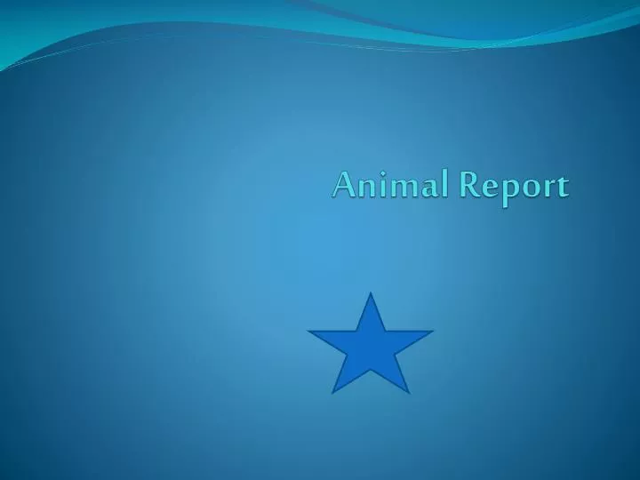 animal report