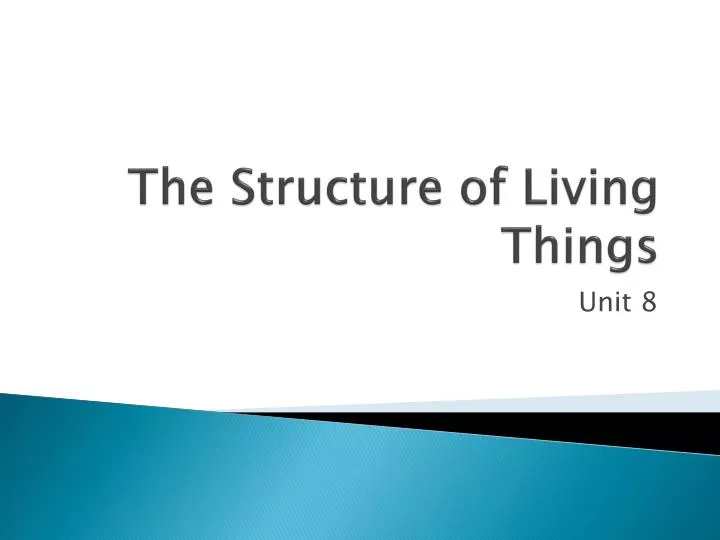 the structure of living things