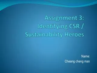 Assignment 3: Identifying CSR / Sustainability Heroes