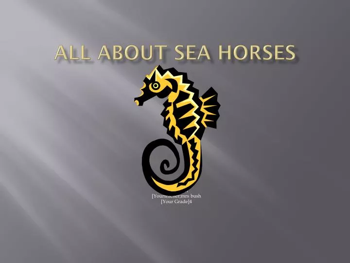 all about sea horses
