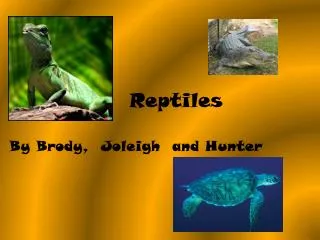 reptiles