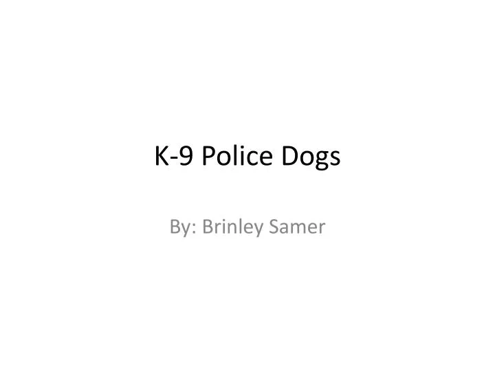k 9 police dogs