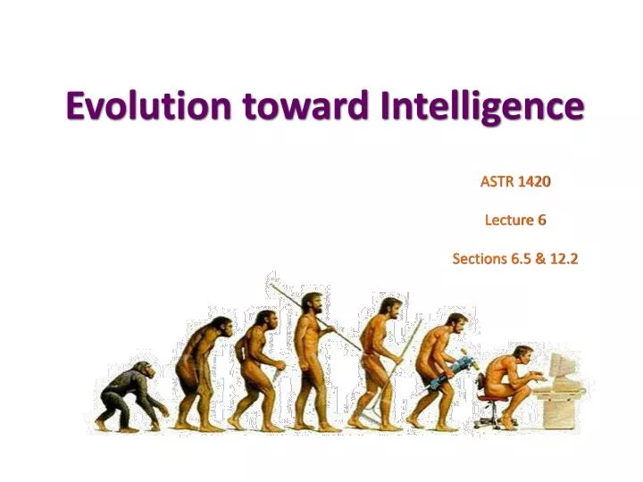 evolution toward intelligence