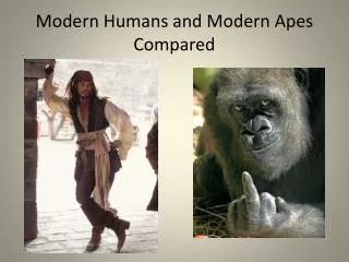 Modern Humans and Modern Apes Compared
