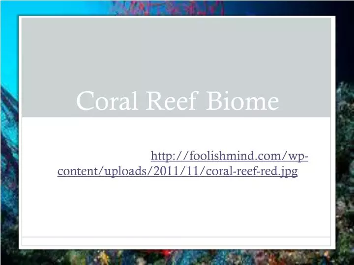 coral reef biome