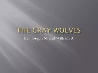 The Gray Wolves