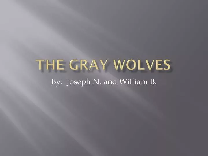 the gray wolves