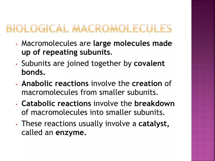 biological macromolecules