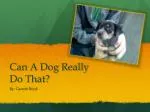 Can A Dog Really Do That? - slide 1