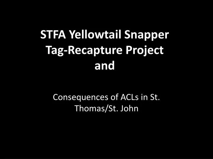 stfa yellowtail snapper tag recapture project and