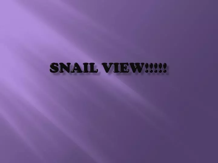 snail view