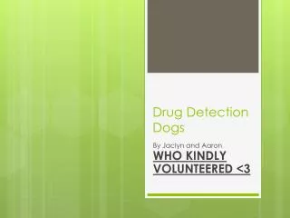 Drug Detection Dogs