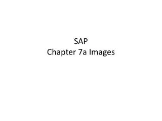 SAP Chapter 7a Images