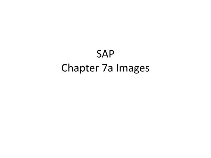 sap chapter 7a images