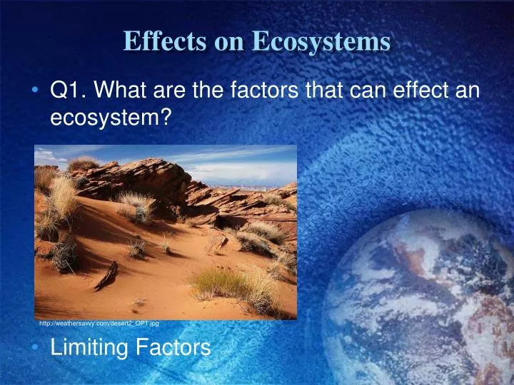 effects on ecosystems