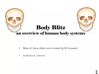 Body Blitz an overview of human body systems