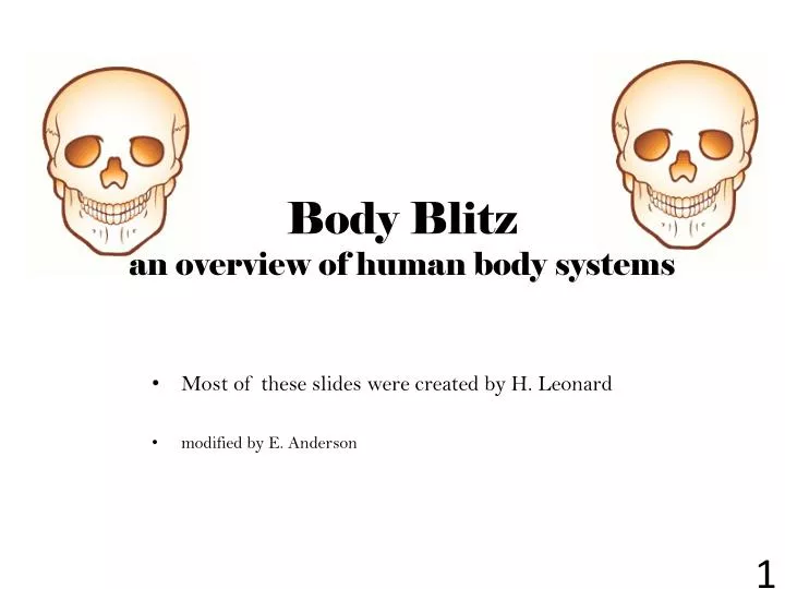 body blitz an overview of human body systems