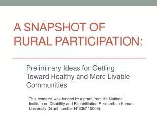 A Snapshot of Rural Participation: