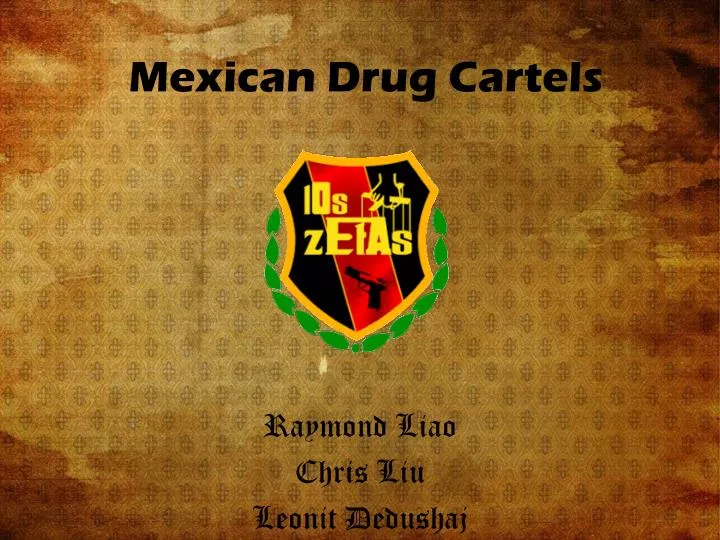 mexican drug cartels