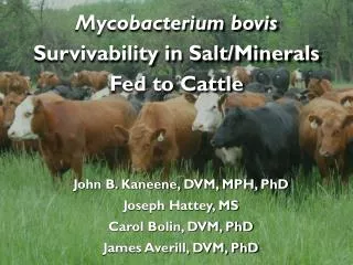 Mycobacterium bovis Survivability in Salt/Minerals Fed to Cattle