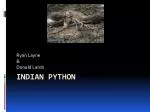 Indian Python - slide 1