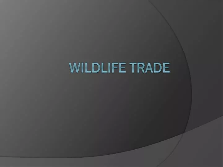 wildlife trade