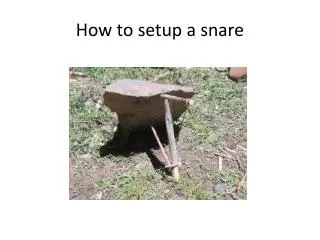 How to setup a snare