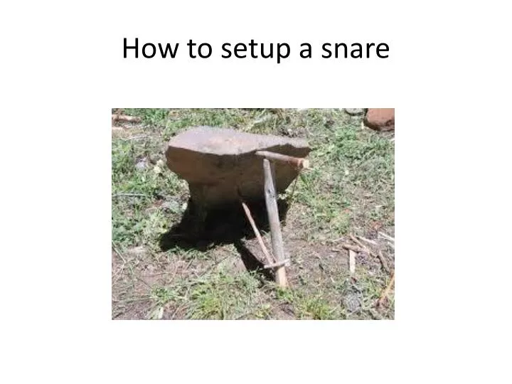 how to setup a snare