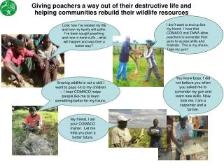 All these activities can help reduce pressure on wildlife and forest
