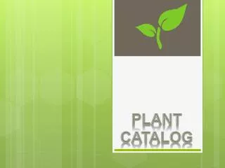 Plant Catalog