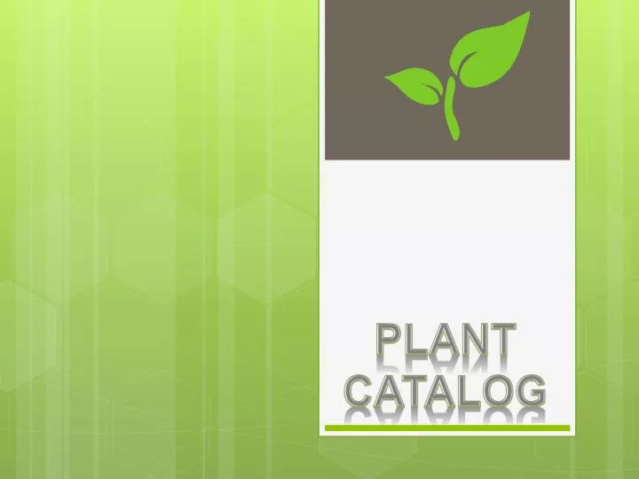plant catalog