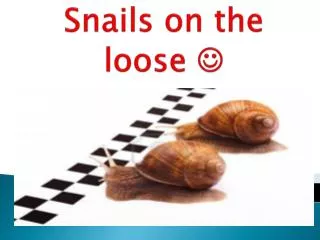 Snails on the loose ?