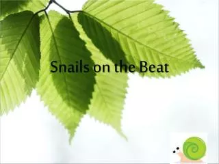 Snails on the Beat