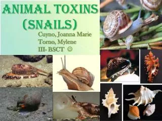 ANIMAL TOXINS (SNAILS)