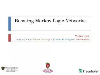 Boosting Markov Logic Networks