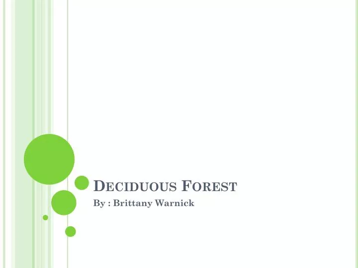 PPT - Deciduous Forest PowerPoint Presentation, Free Download - ID:2532580