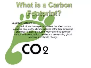 A carbon footprint is :