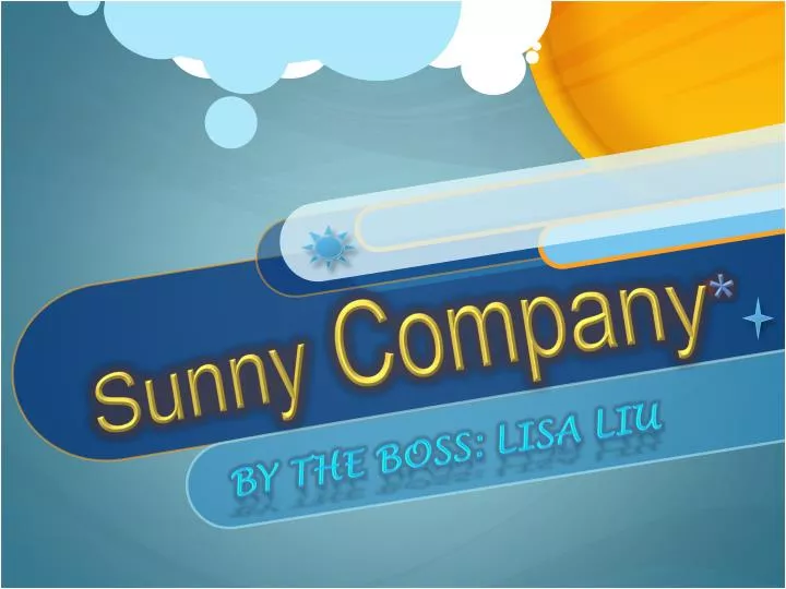 sunny company