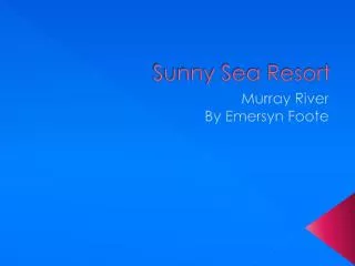Sunny Sea Resort
