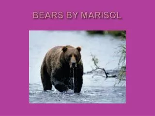 BEARS BY MARISOL