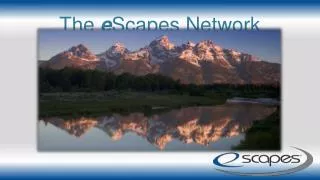The e Scapes Network
