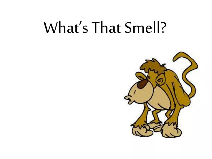 what s that smell