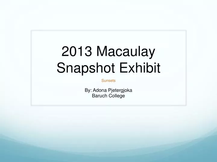 2013 macaulay snapshot exhibit