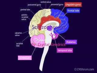 Schizophrenia